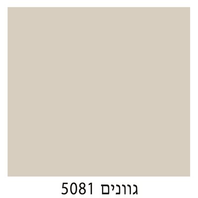 5081