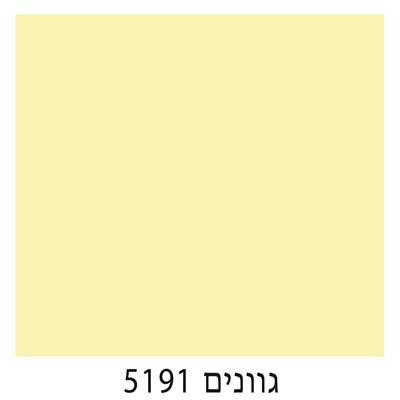 5191