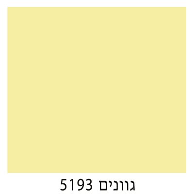 5193