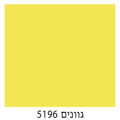 5196