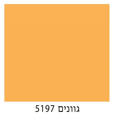 5197