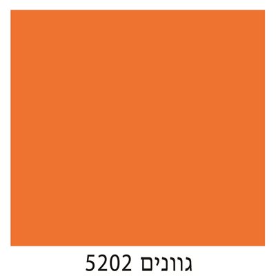 5202