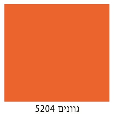 5204