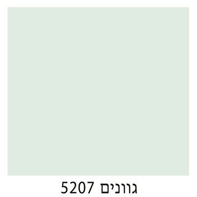 5207
