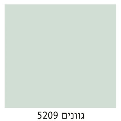 5209