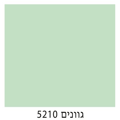 5210