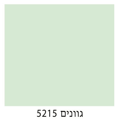 5215