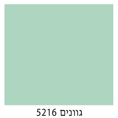 5216