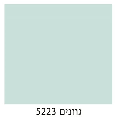 5223