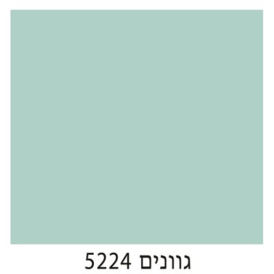 5224