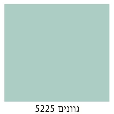 5225