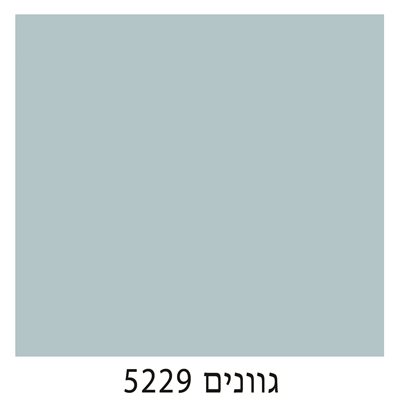5229