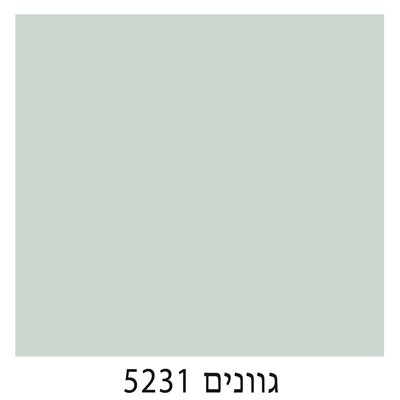 5231