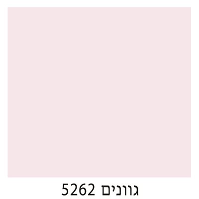 5262