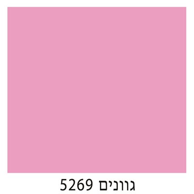 5269