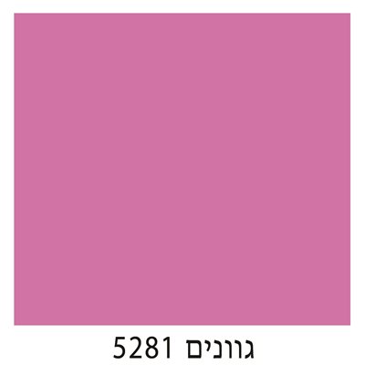 5281