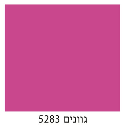 5283
