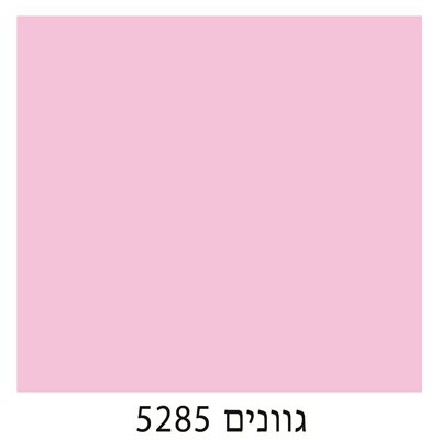 5285