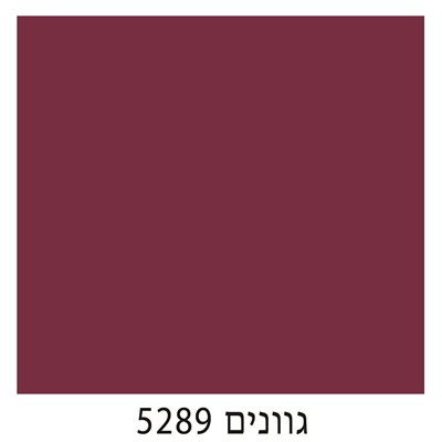 5289